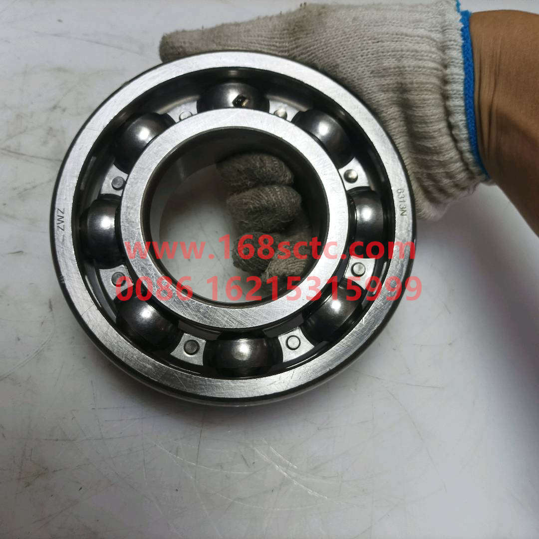 6313N