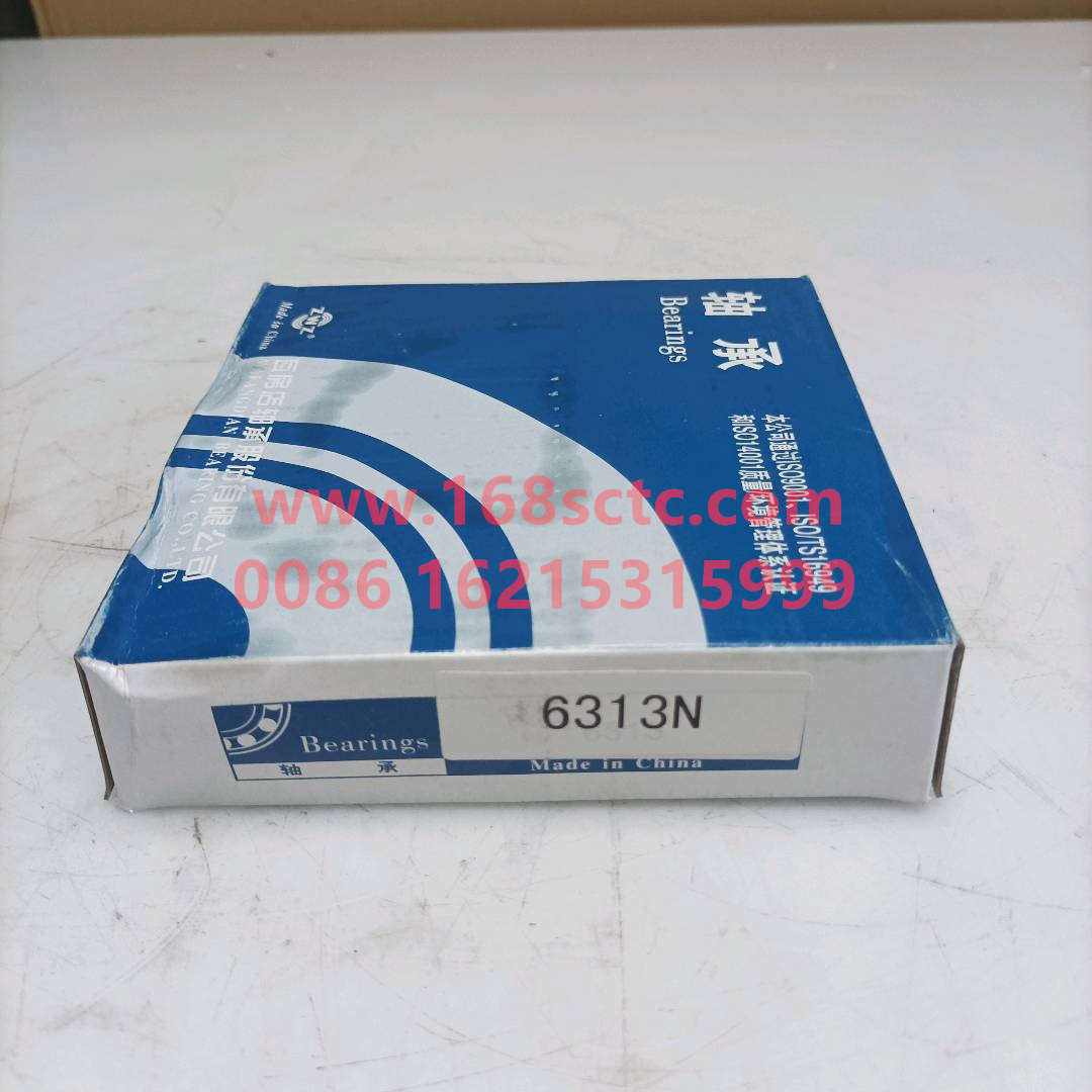 6313N