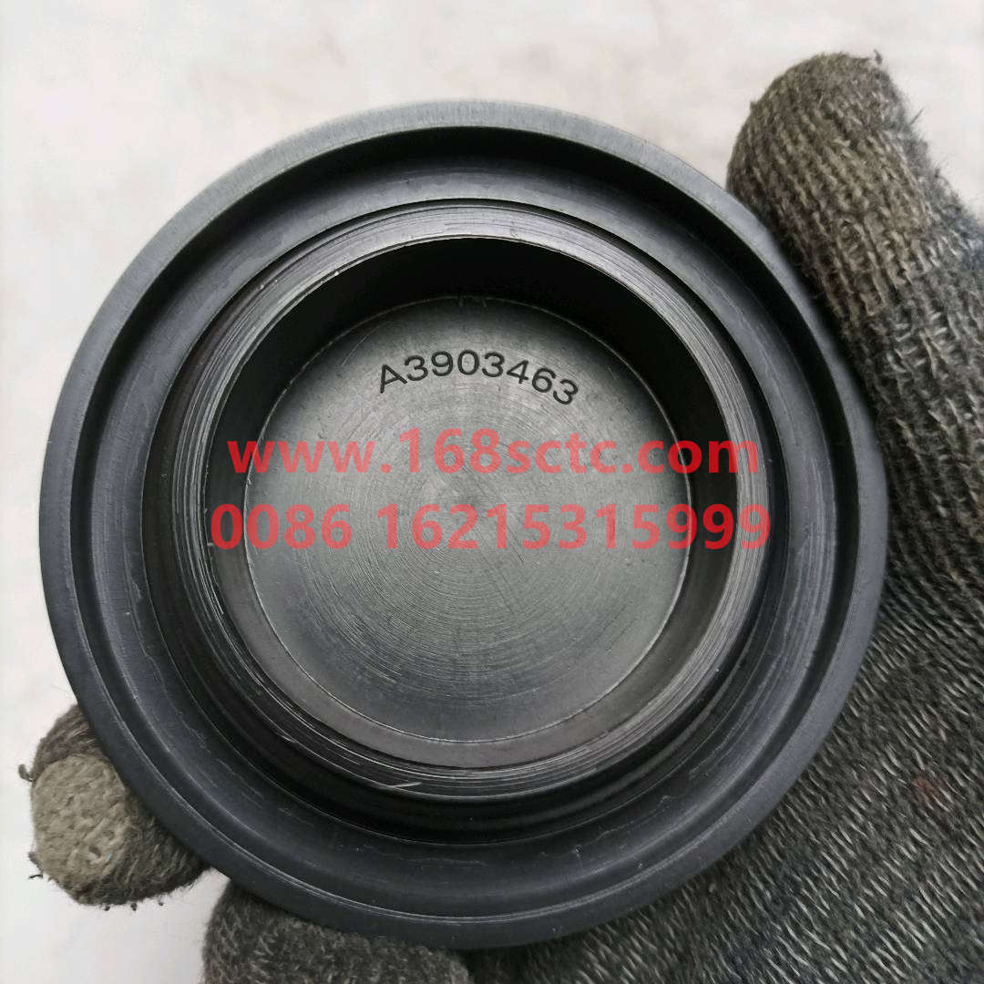 3903463