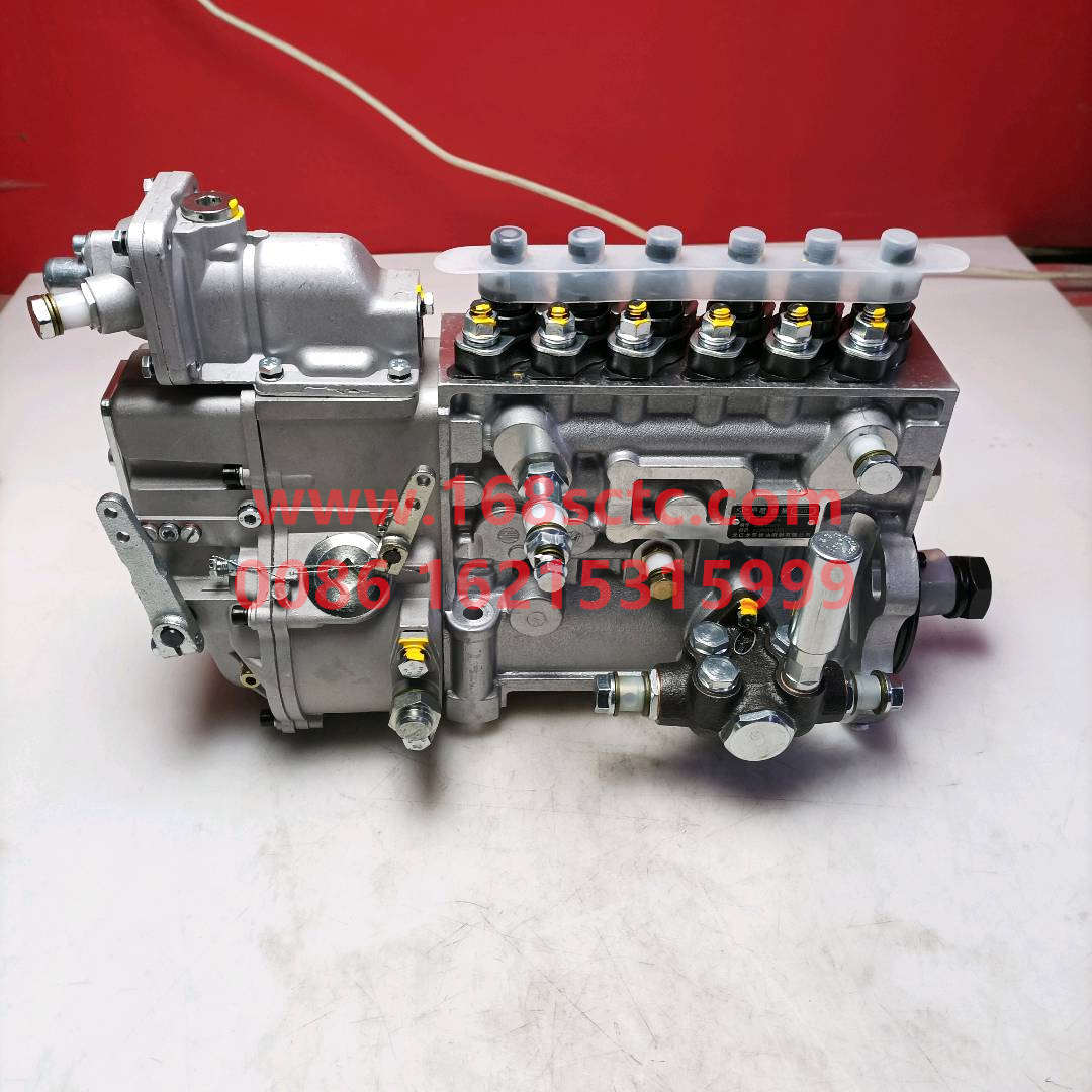 612600081235