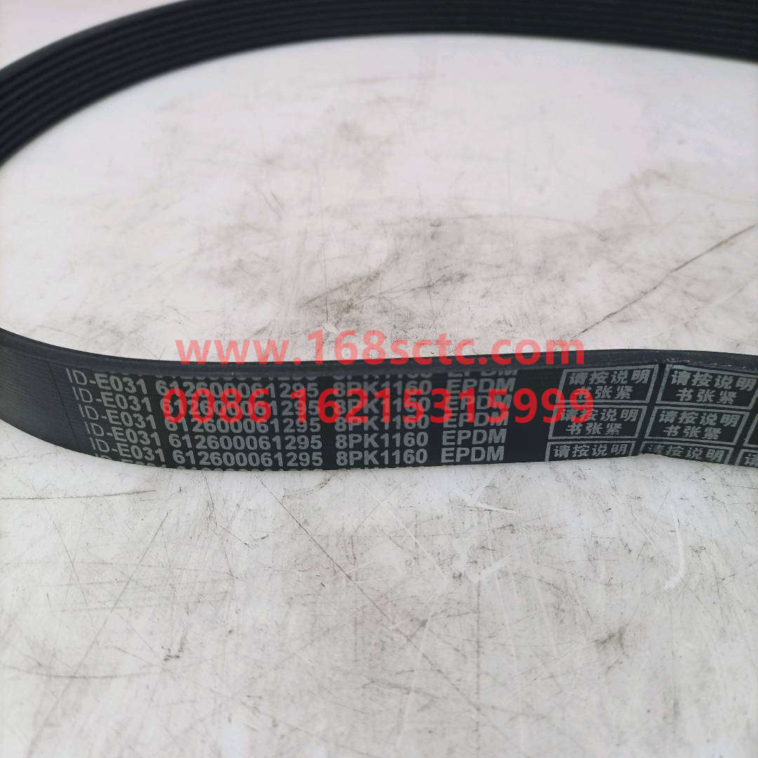 612600061295