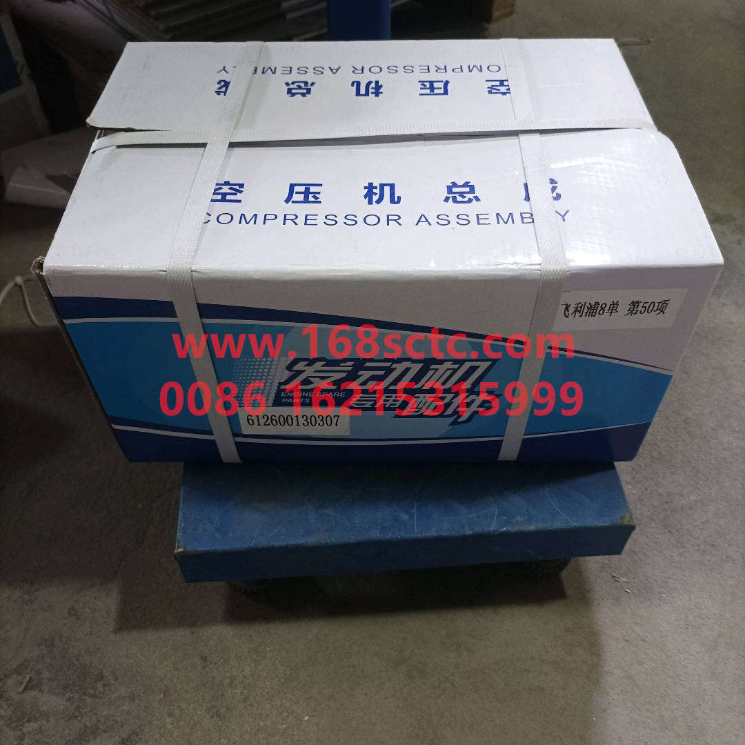 612600130307