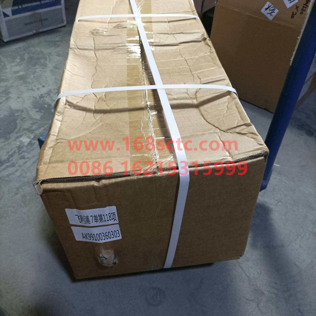 AK99100360303