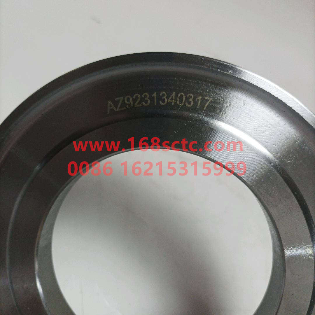AZ9231340317