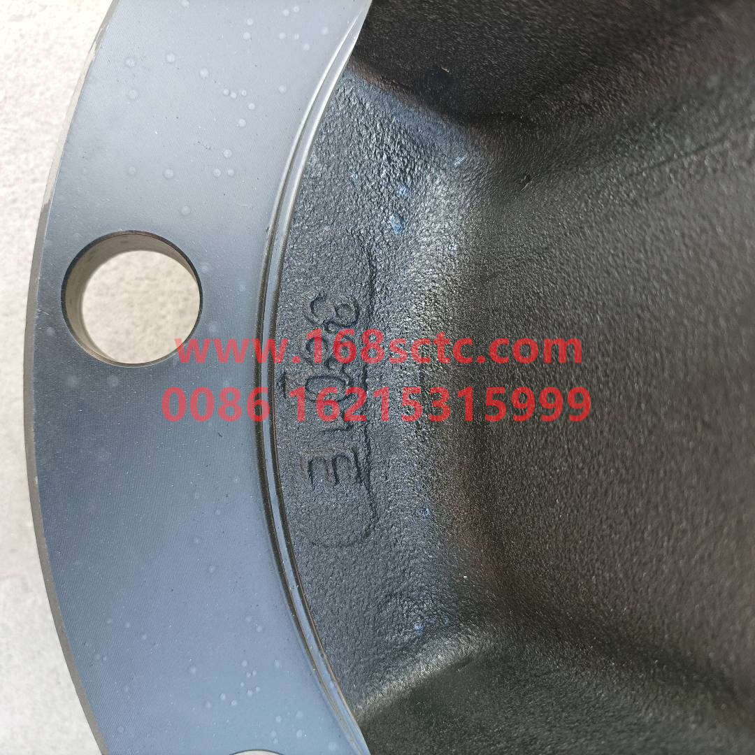 H316101