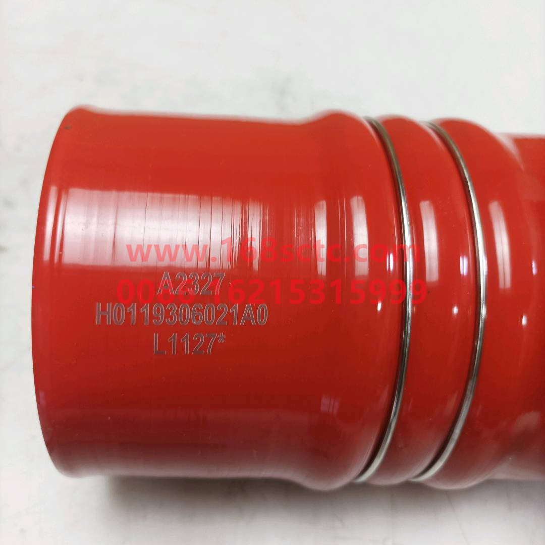 H0119306021A0