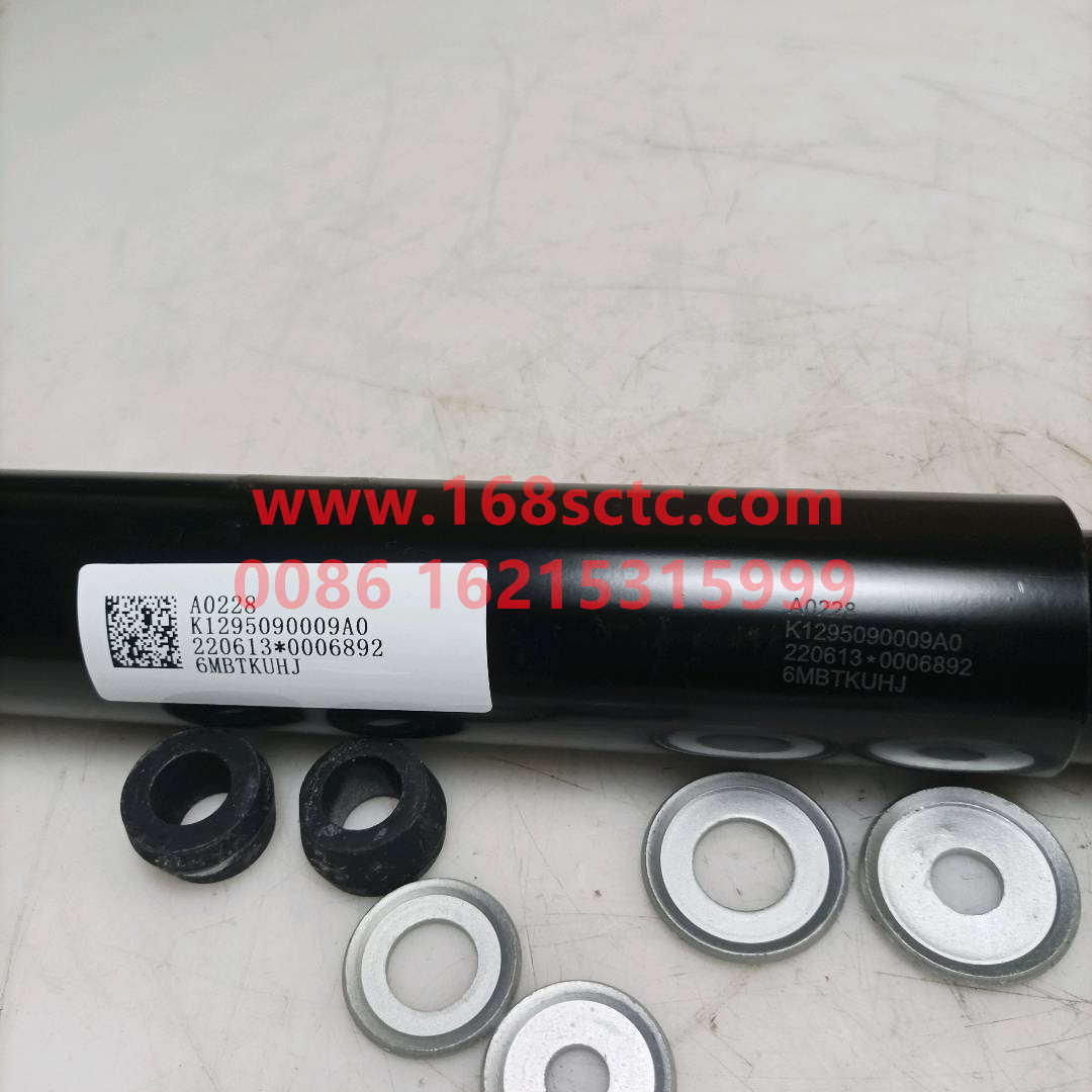 K1295090009A0