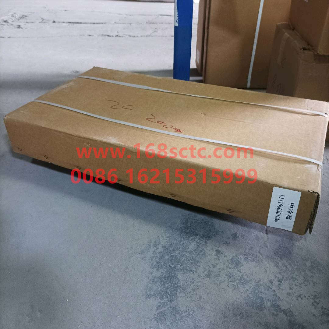 L1119003010A0