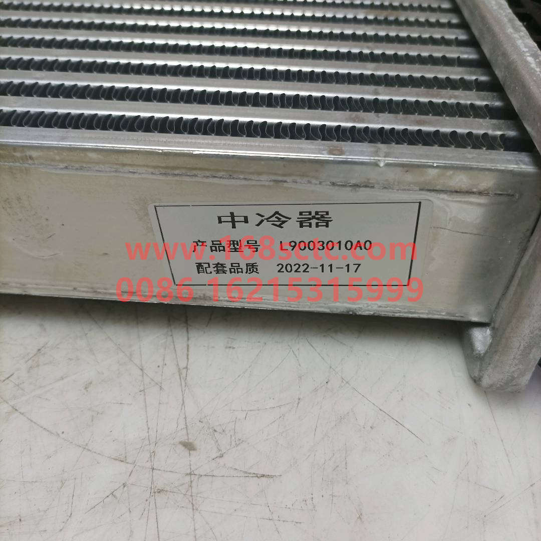 L1119003010A0