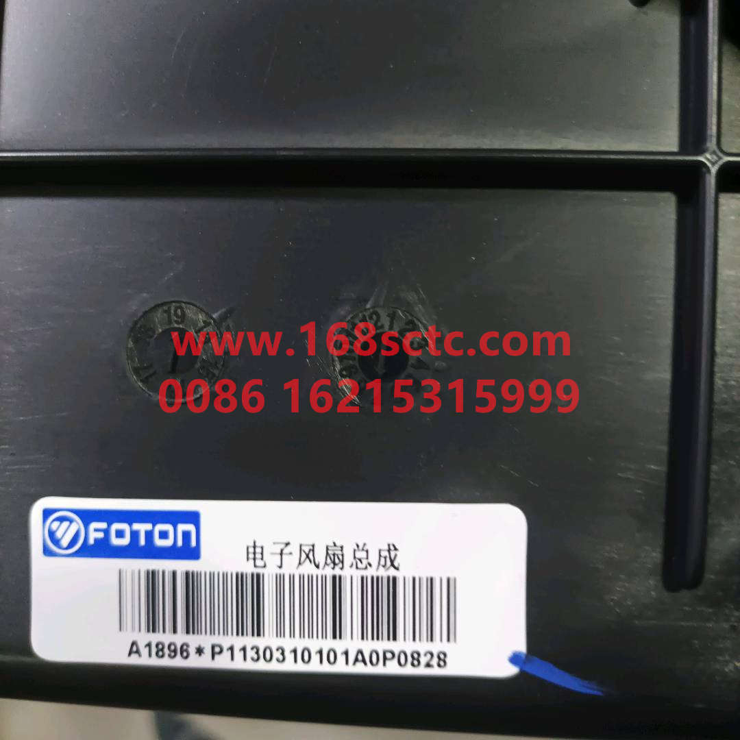 P1130310101A0