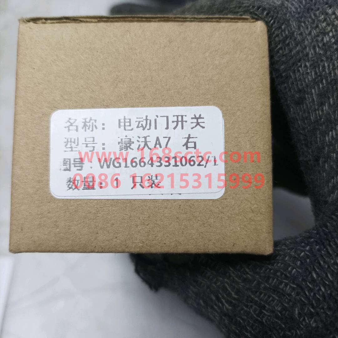WG1664331062*