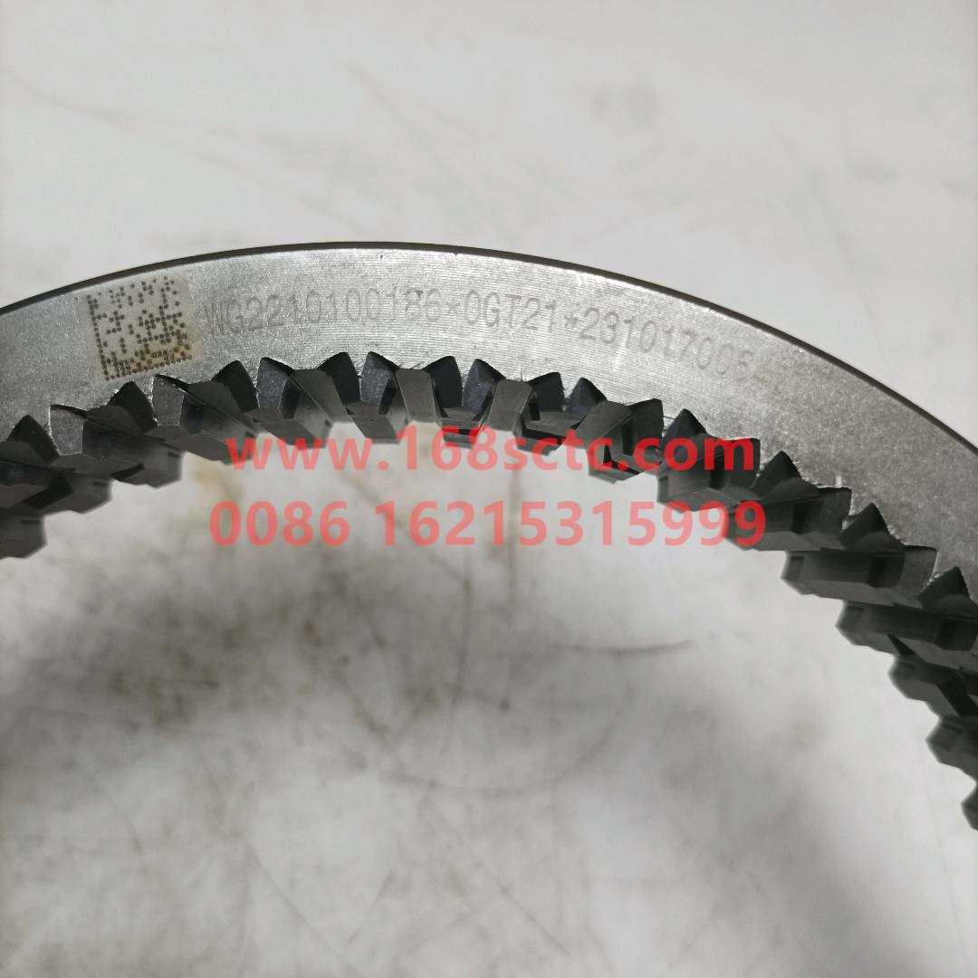 WG2210100186
