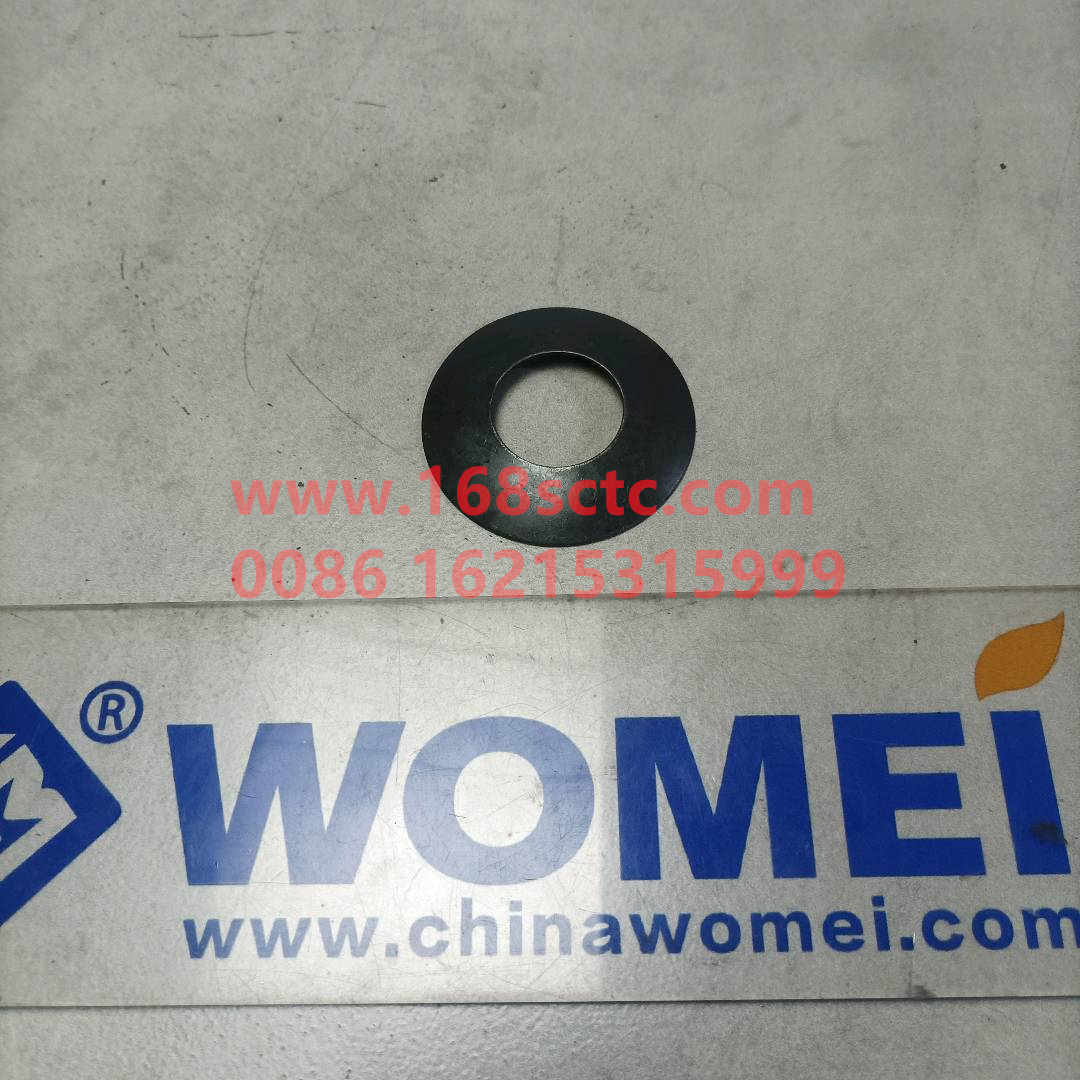 WG9231320224-SINOTRUK HOWO-Interaxle differential planetary gear spacerplastic-ZhongQiHouQiaoAC16