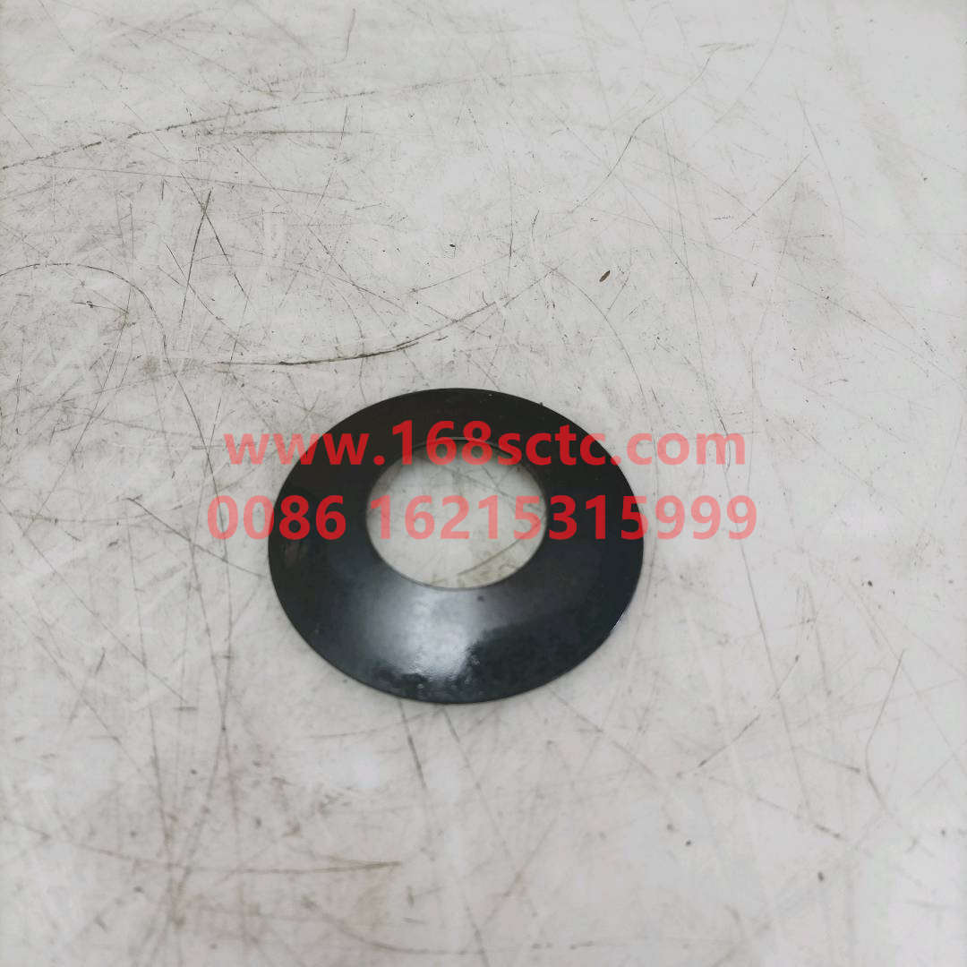 WG9231320224-SINOTRUK HOWO-Interaxle differential planetary gear spacerplastic-ZhongQiHouQiaoAC16