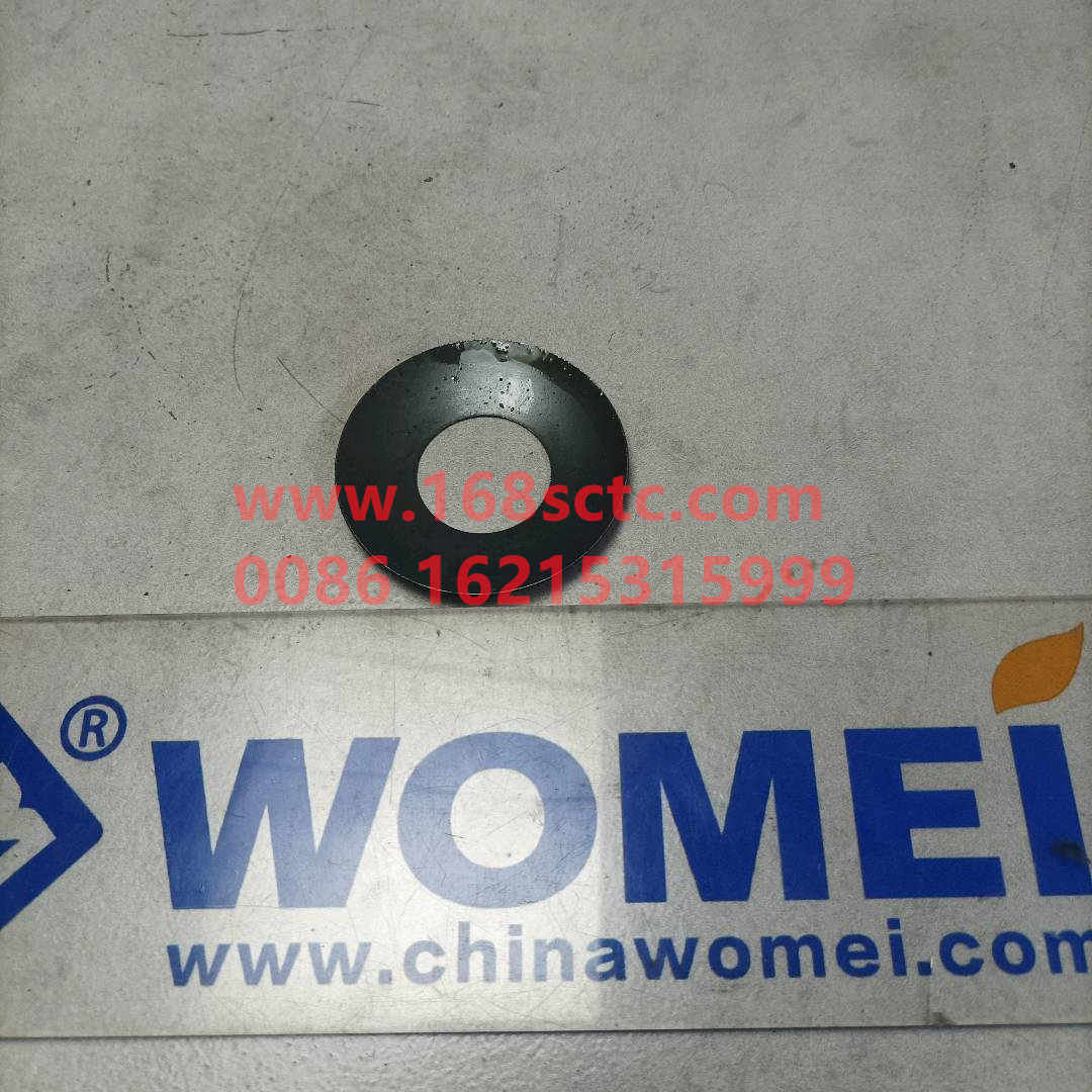 WG9231320224-SINOTRUK HOWO-Interaxle differential planetary gear spacerplastic-ZhongQiHouQiaoAC16