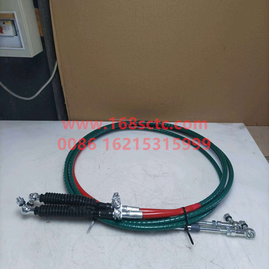 WG9900243302