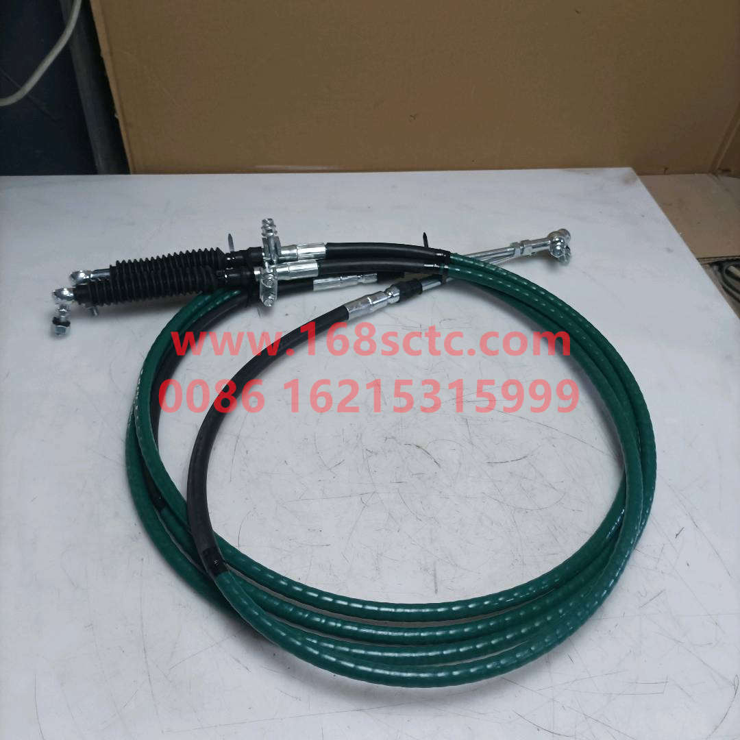 WG9900243201