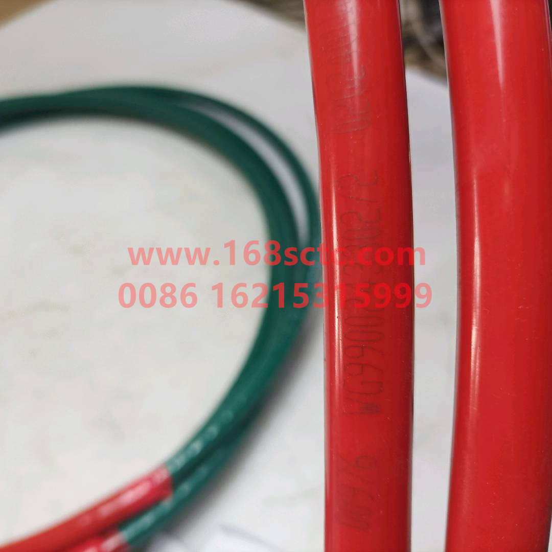 WG9900243302