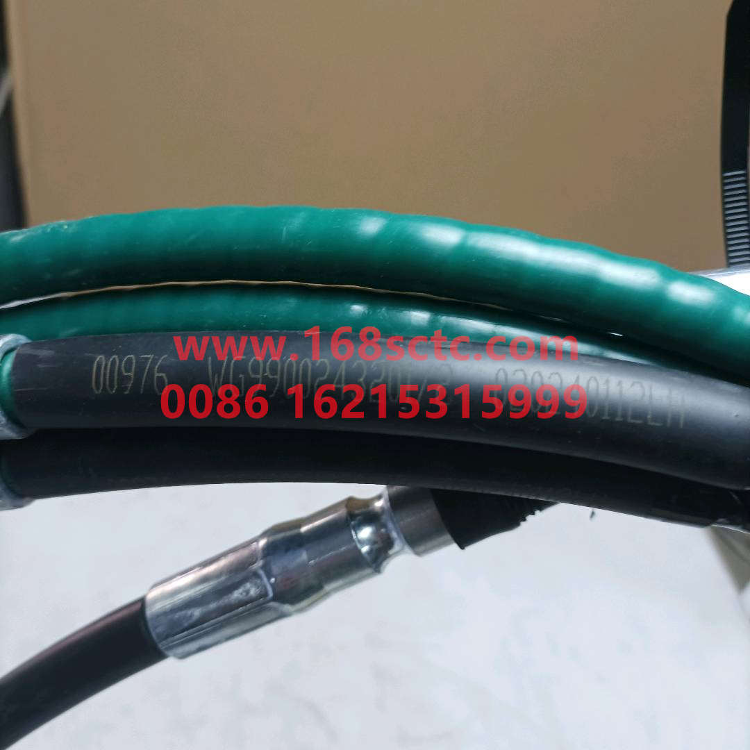 WG9900243201