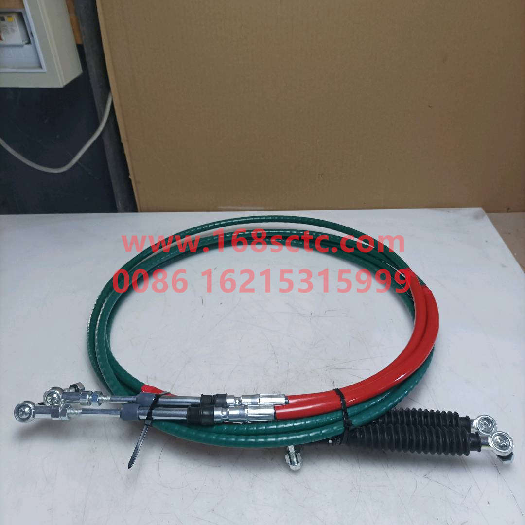 WG9900243302