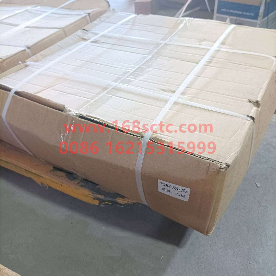 WG9900243302