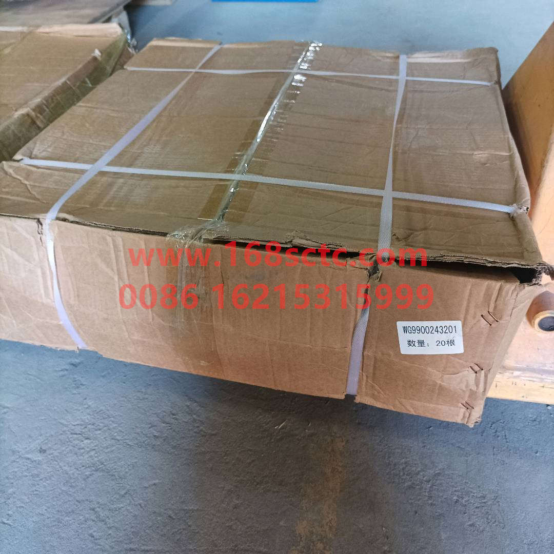 WG9900243201