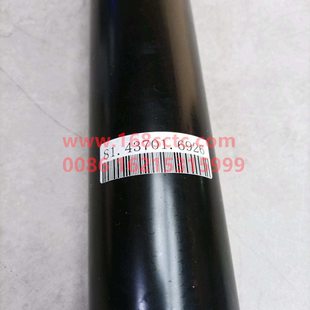 Shock absorber (rear)