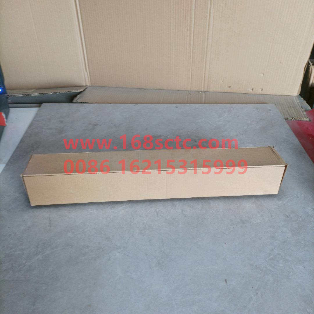 Shock absorber (rear)