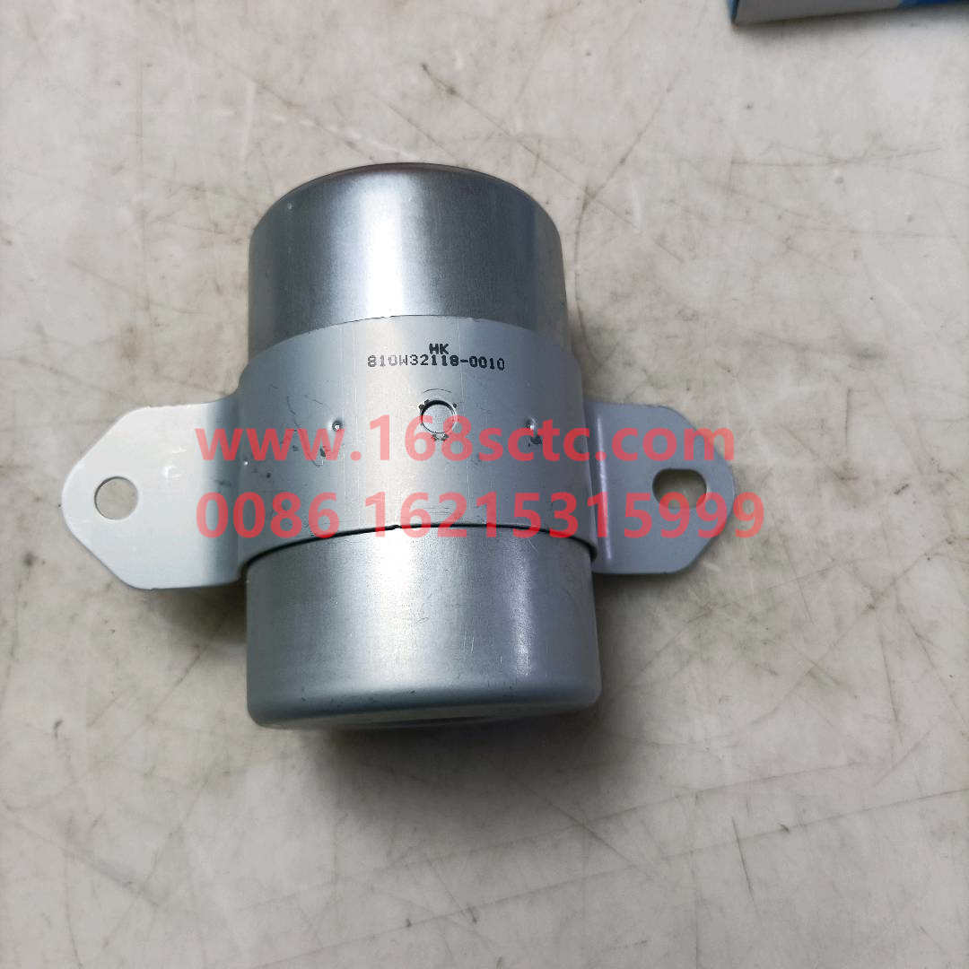 810W32118-0010