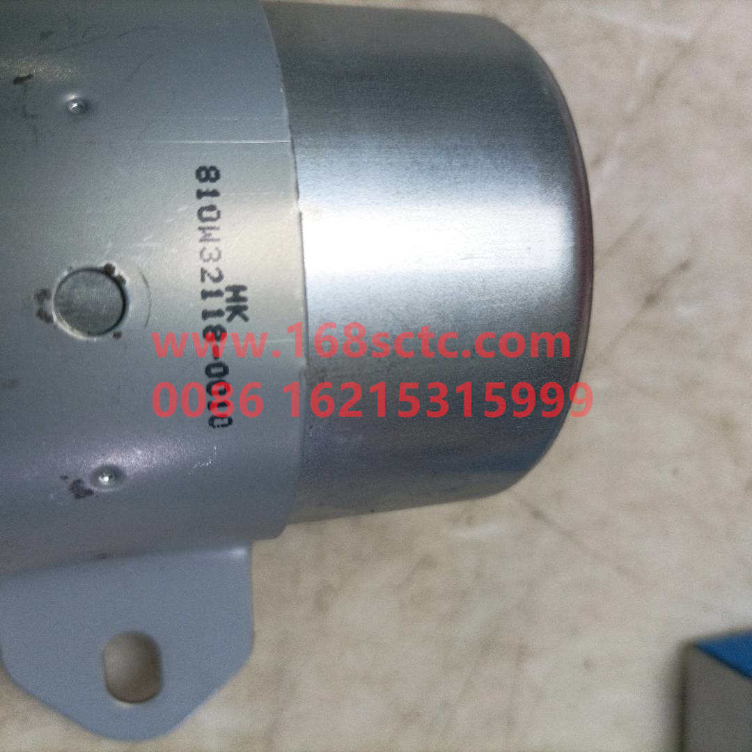 810W32118-0010