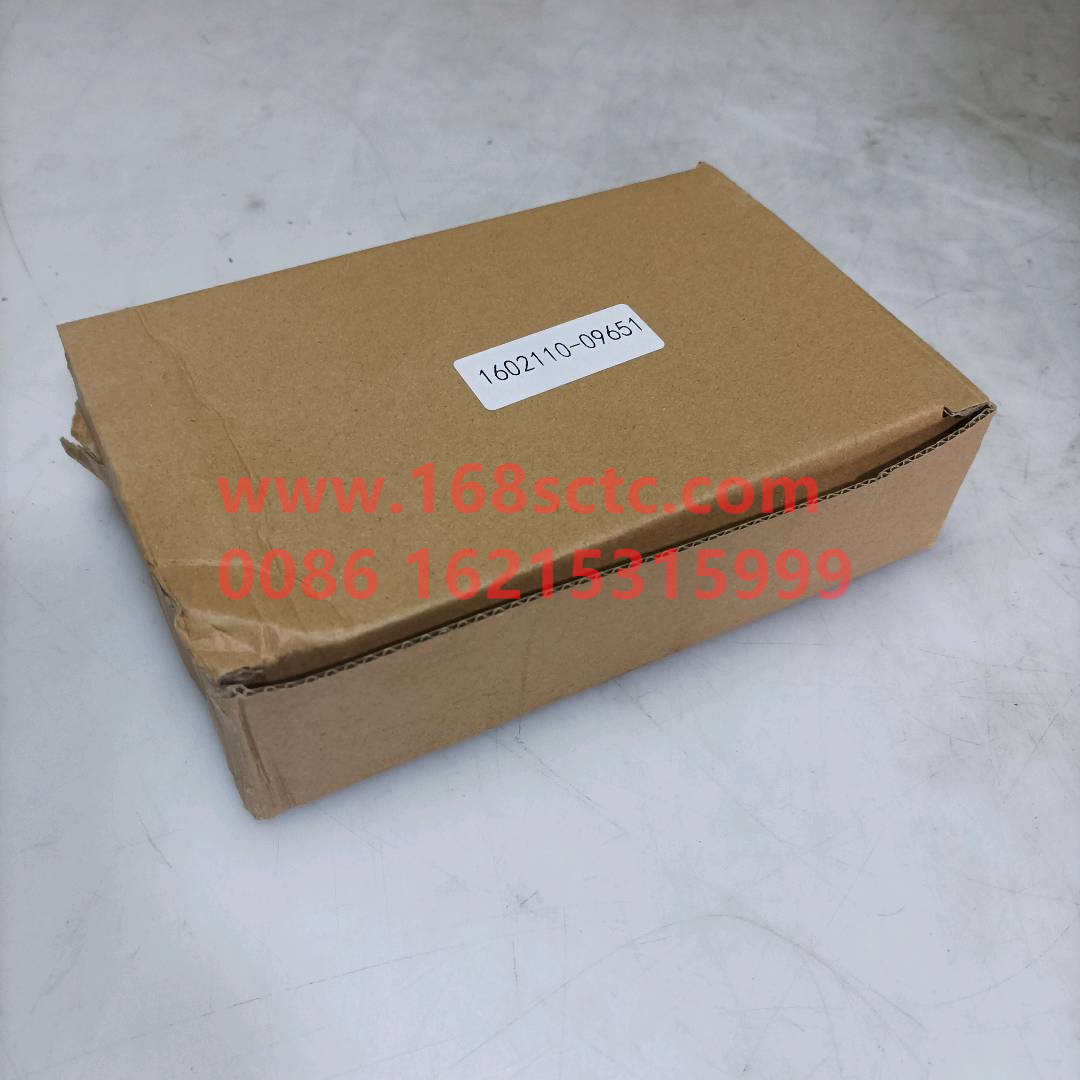 1602110-D9651