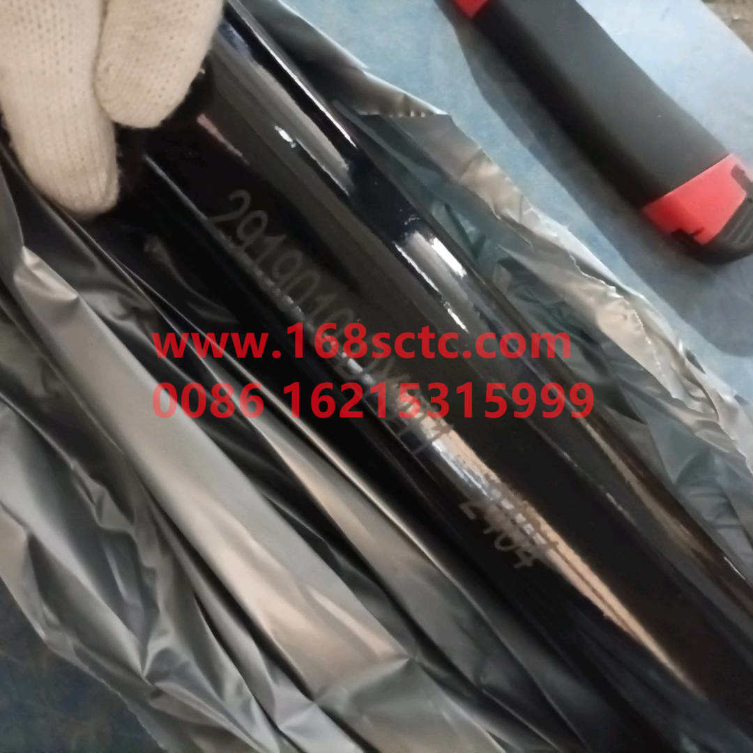 2919010-DY011