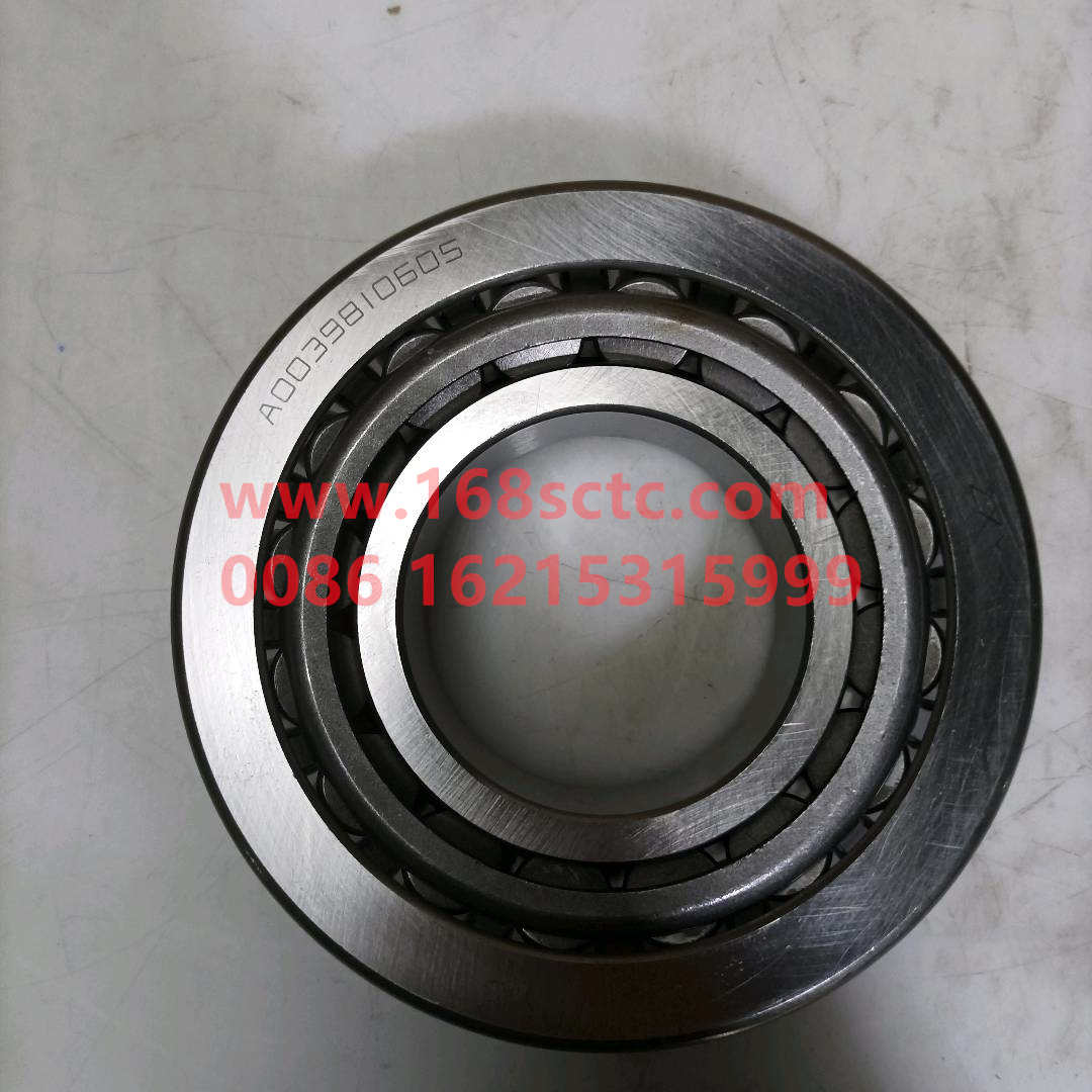 0039810605