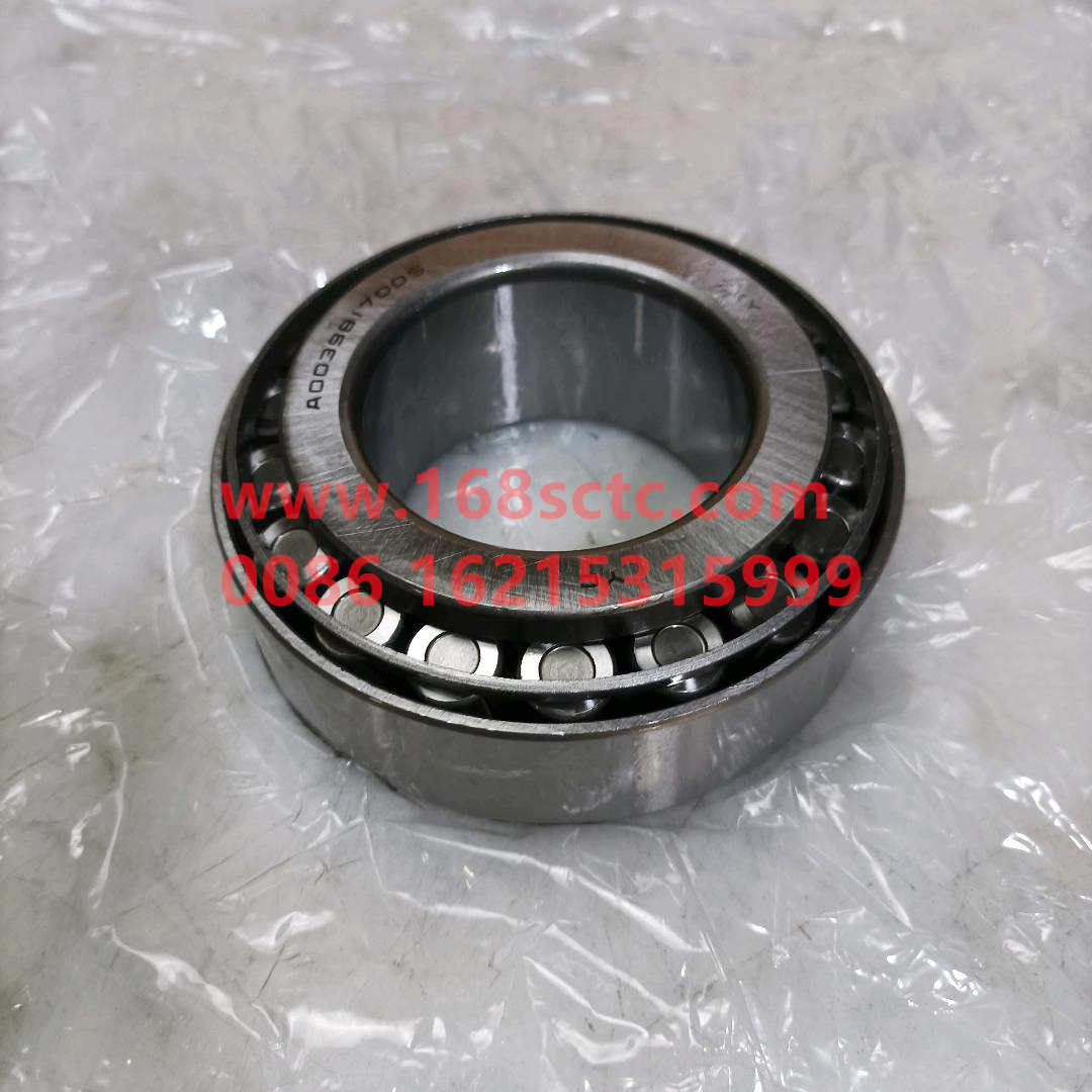 0039817005