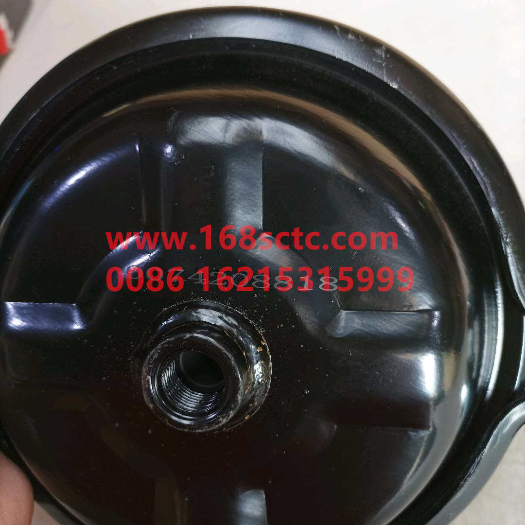 0074208818