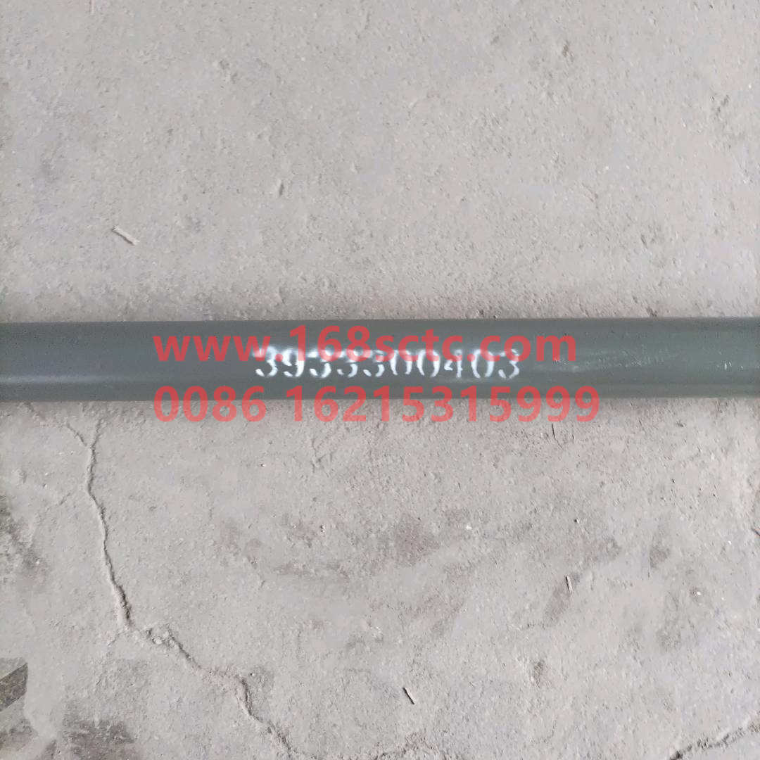3933300403