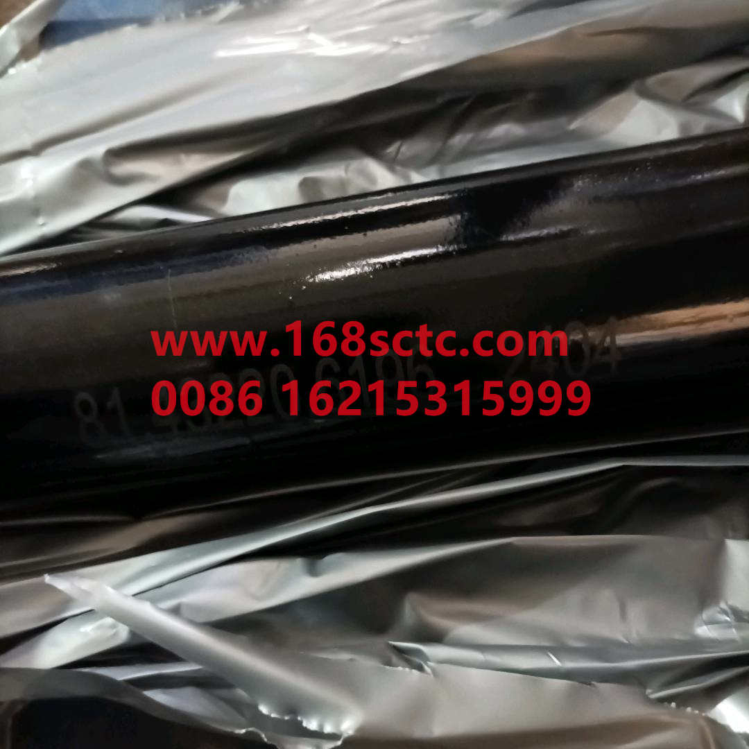8143220619