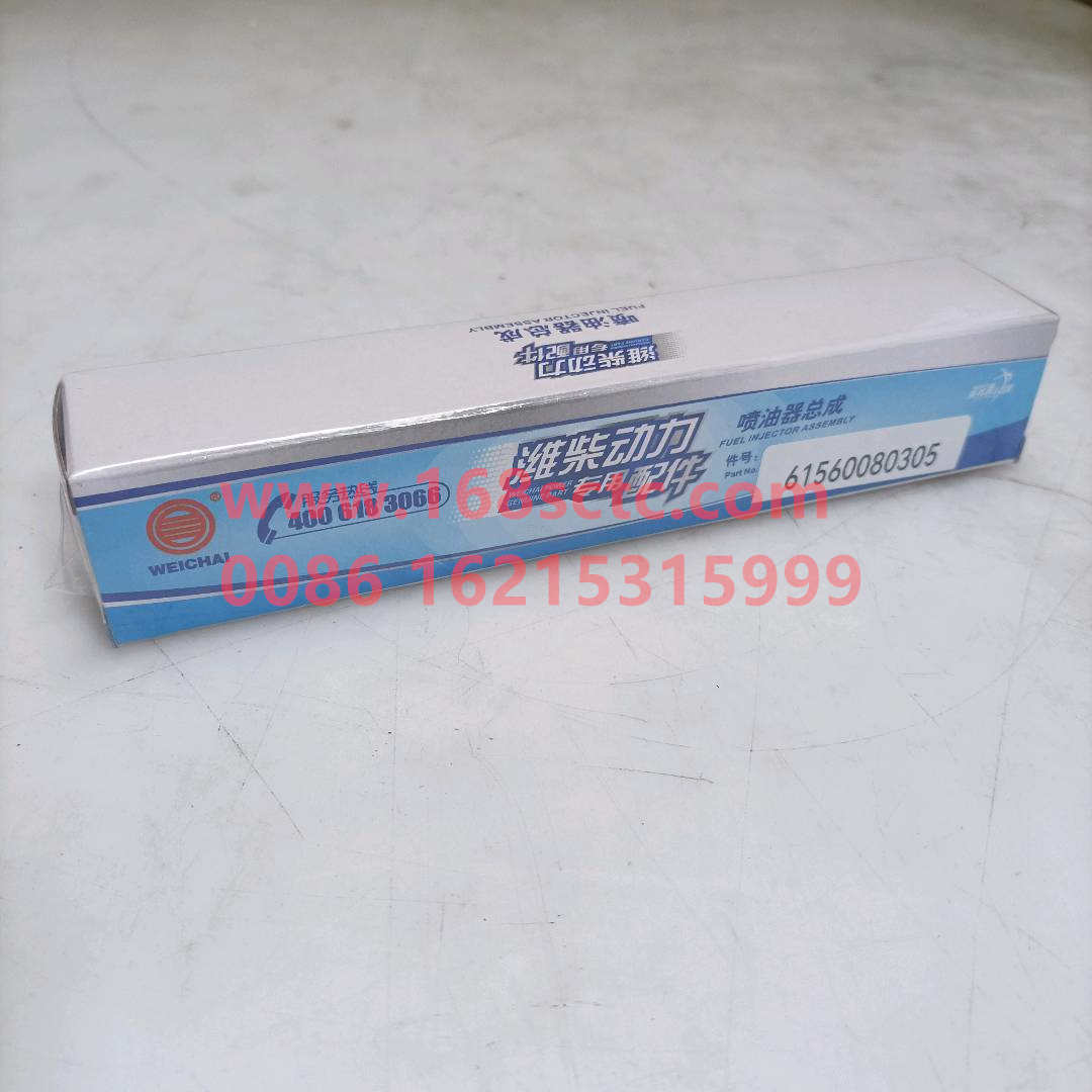 61560080305
