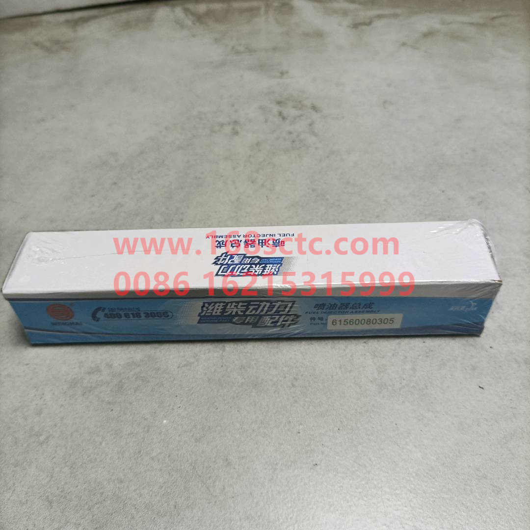 61560080305