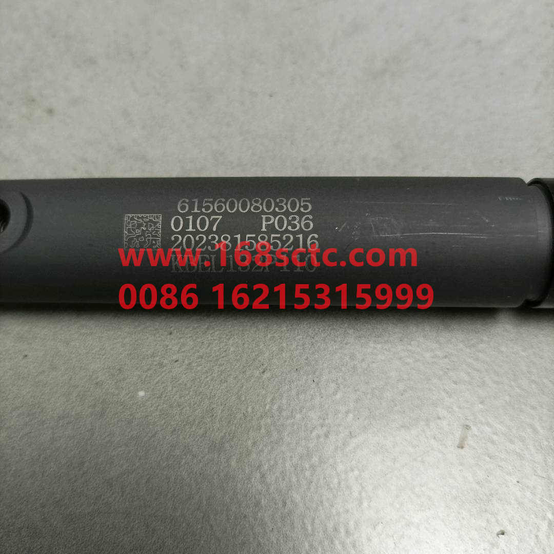 61560080305