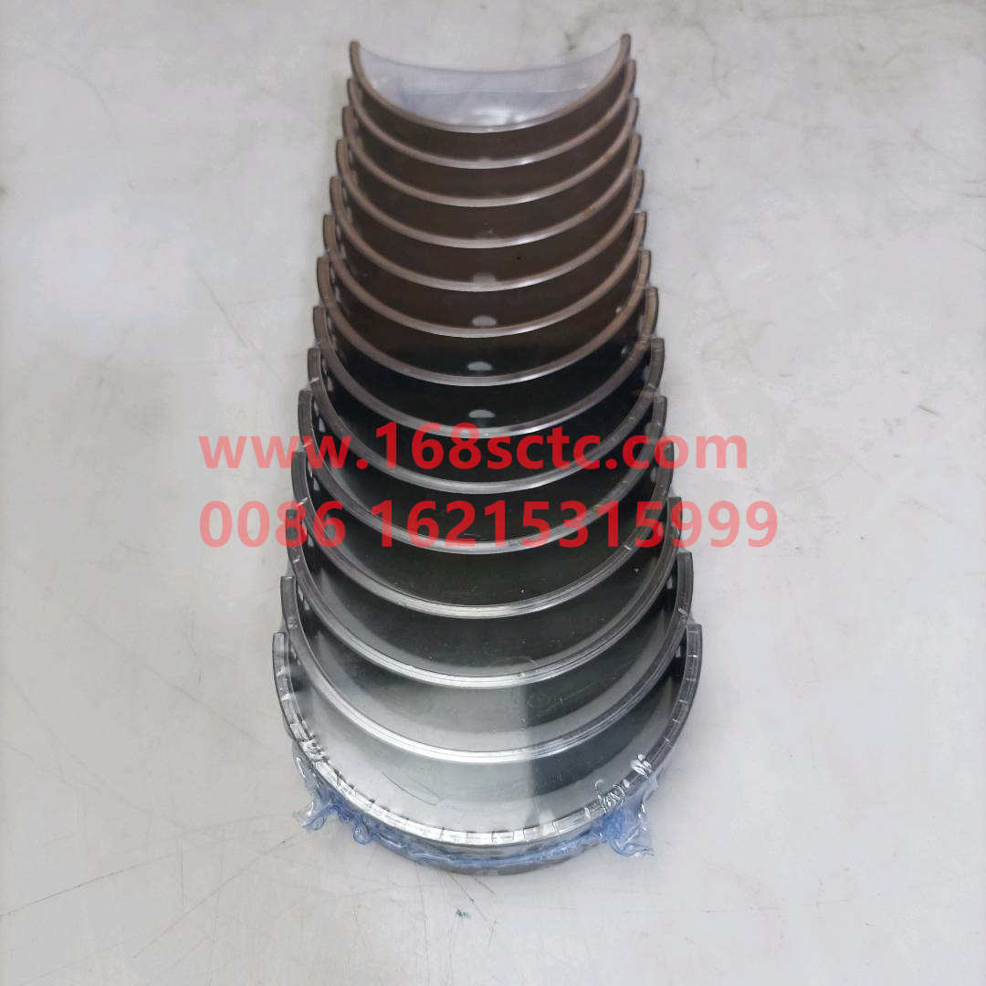 81500010046