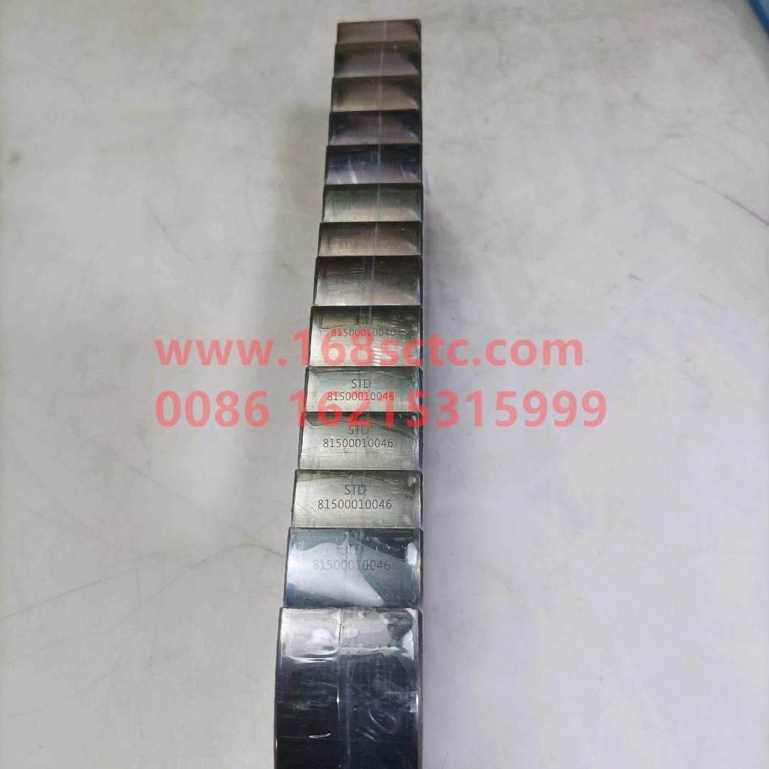 81500010046
