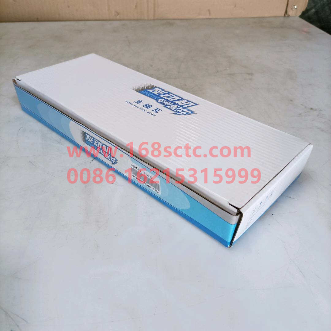 81500010046