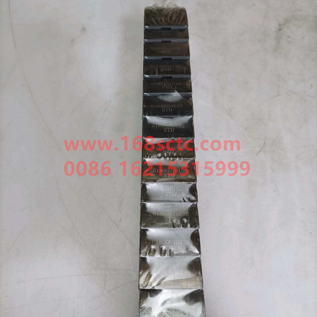 61800010132