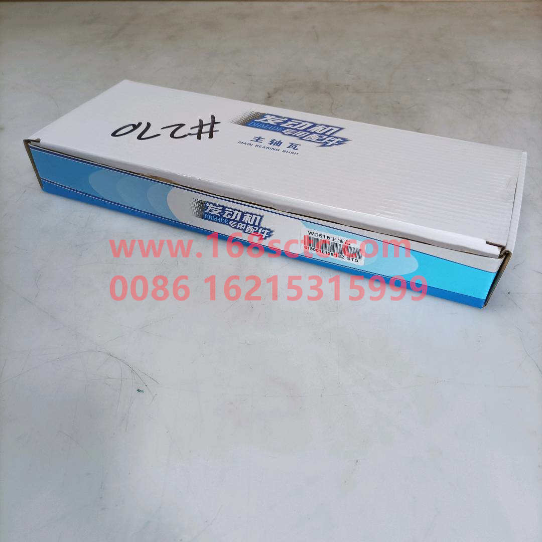 61800010132