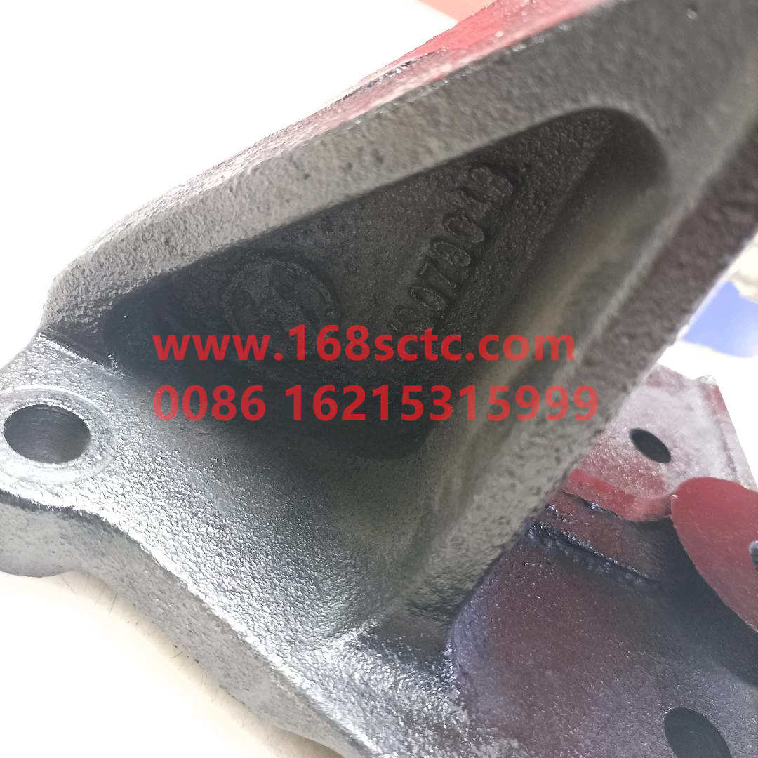 81413070043