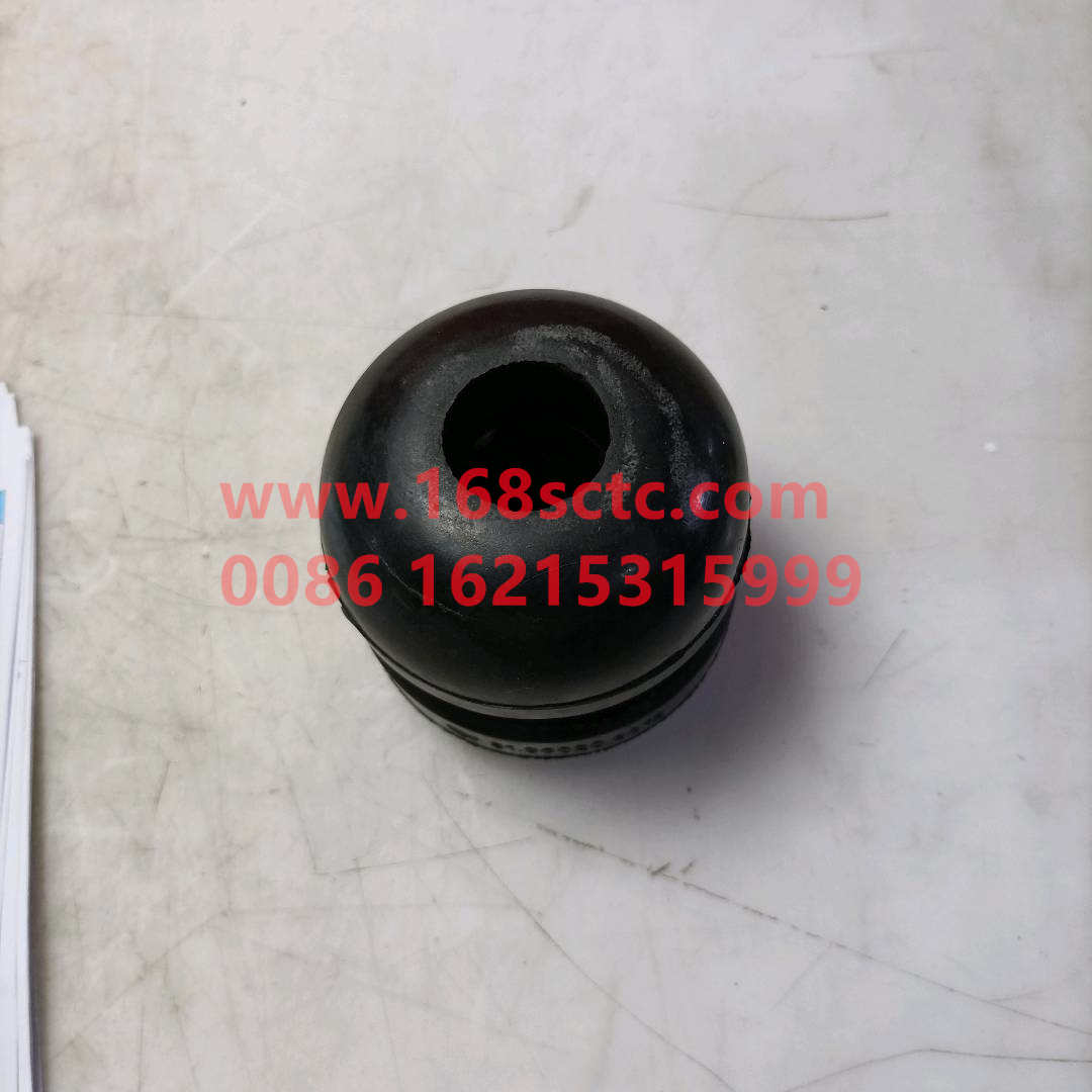 81960206013