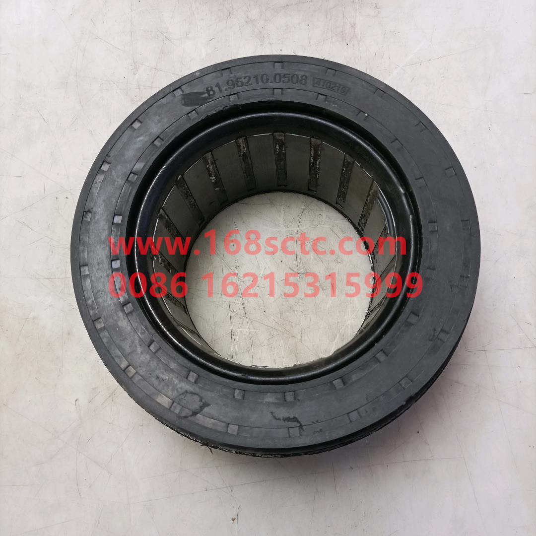 81962100508