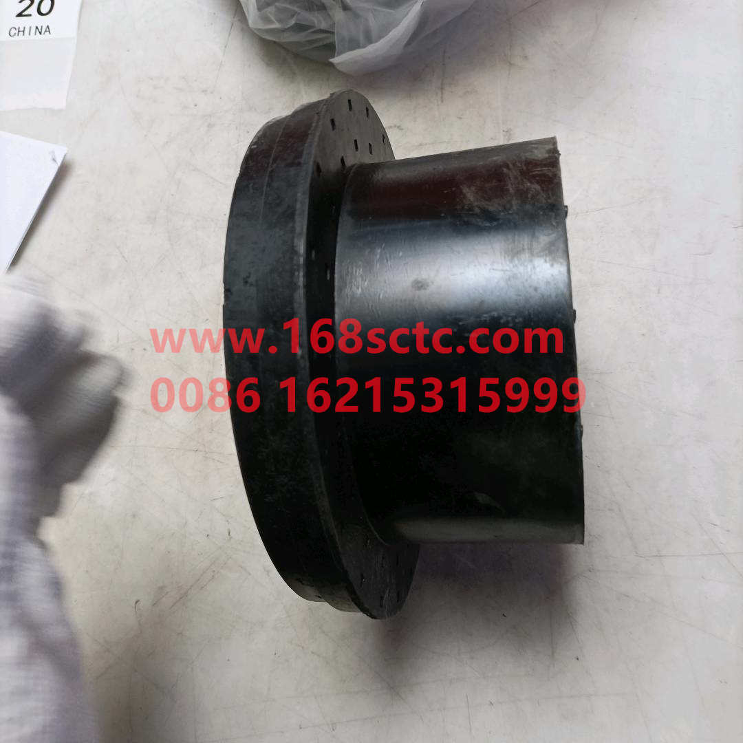 81962100508