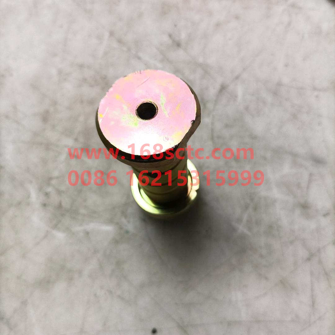 81910200734